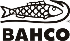 Bacho